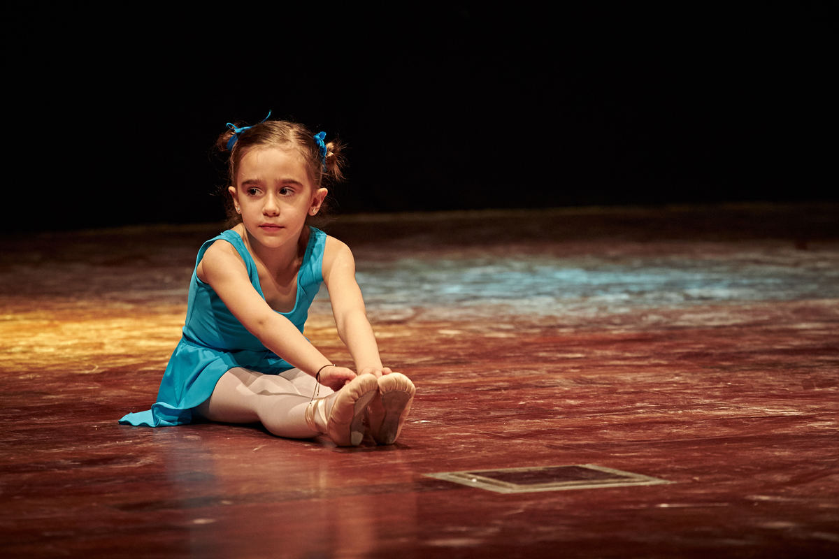 Espetáculo Vale de Cambra