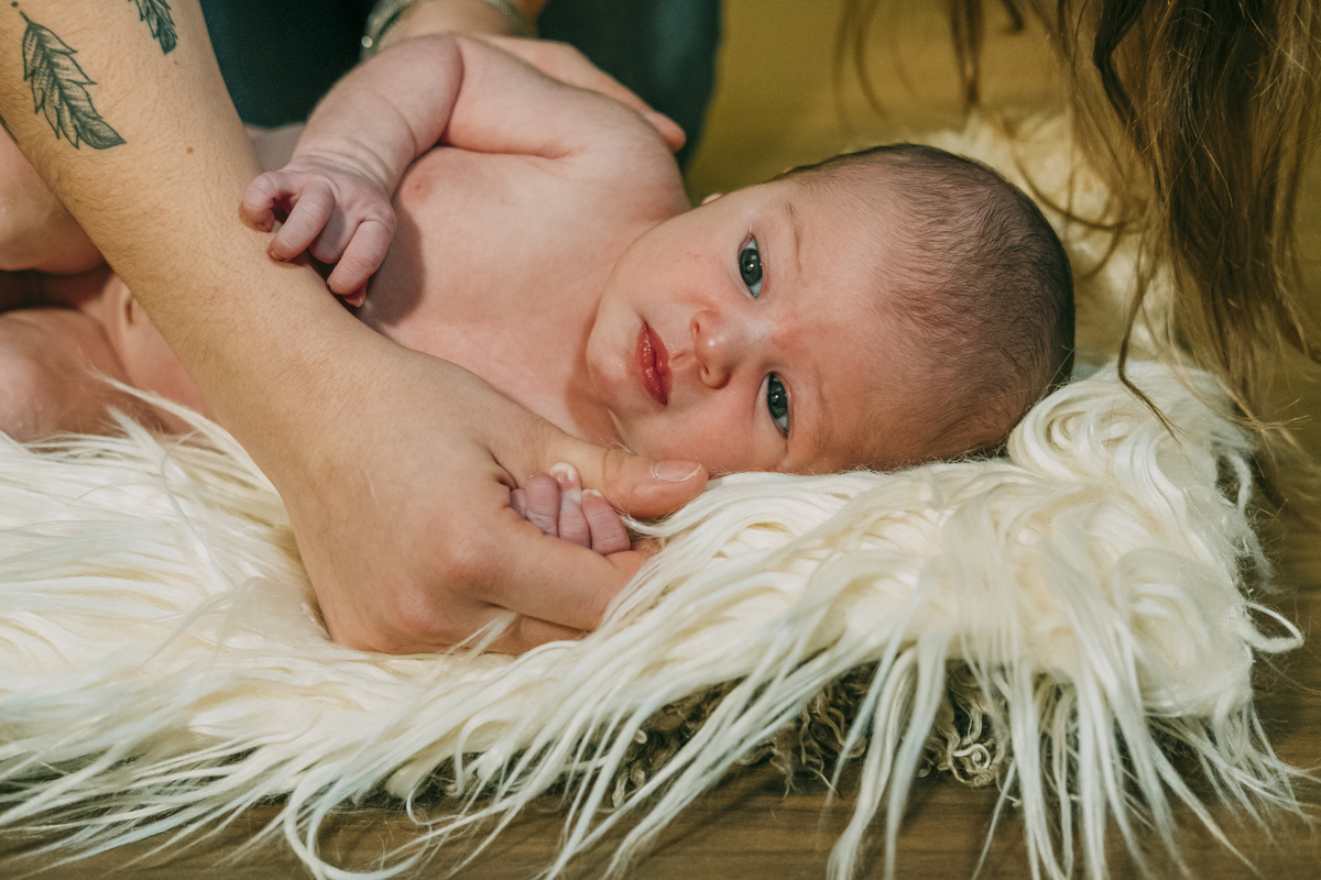 sessão fotográfica de natal de Recém-nascido na Foto David marques