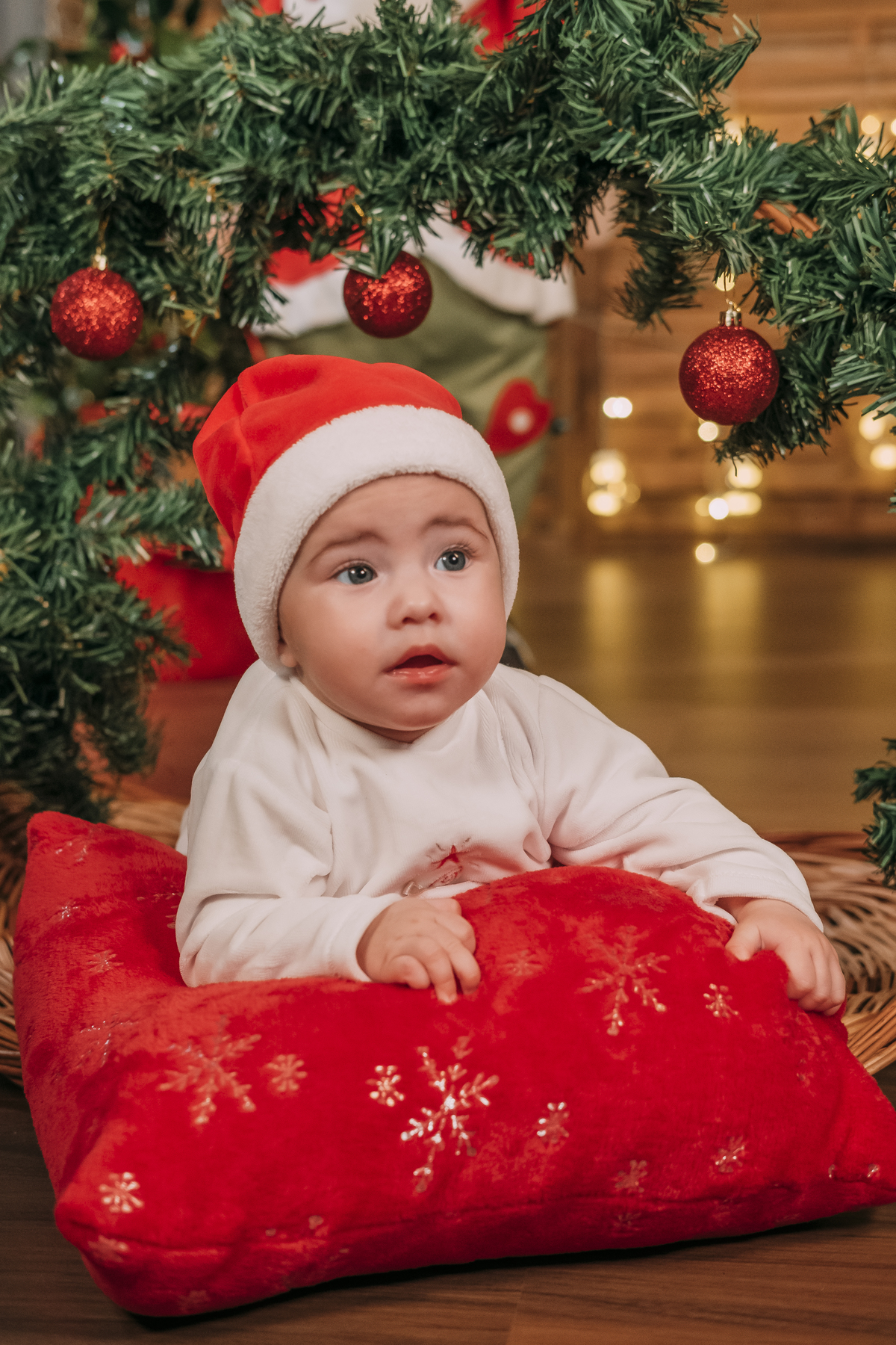 Sessão de Natal em Vale de Cambra