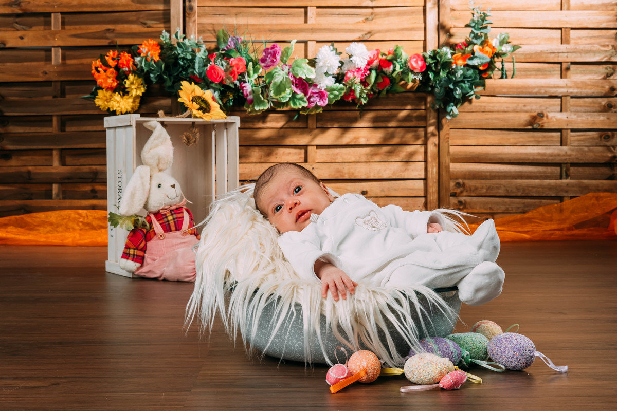 bebé na sessão fotográfica