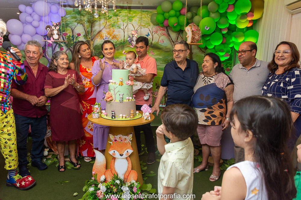 Aniversário 1 Ano Julia