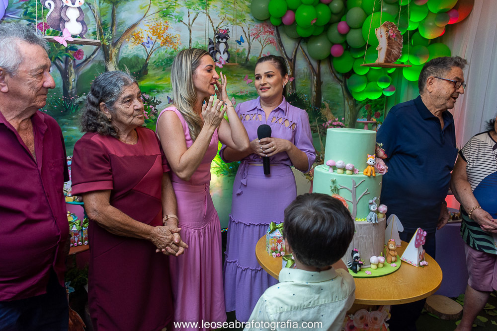 Aniversário 1 Ano Julia