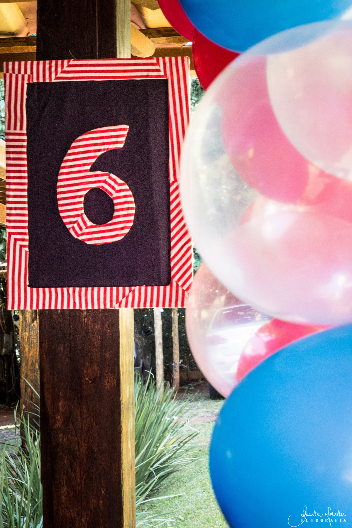 aniversário no sitio