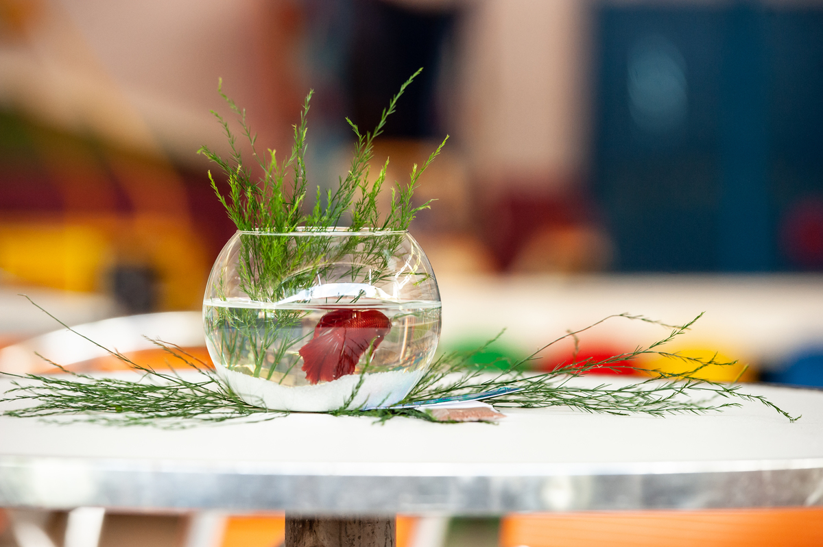 decoração fundo do mar