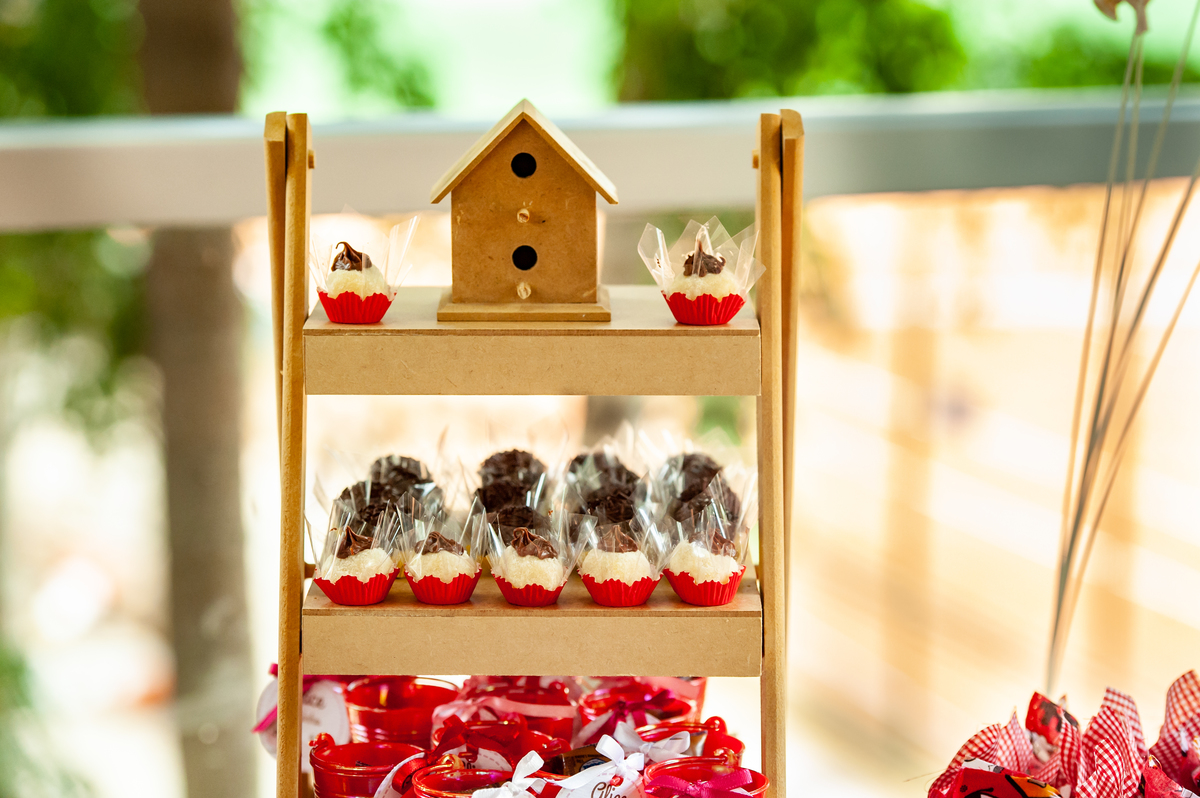 decoração fazendinha