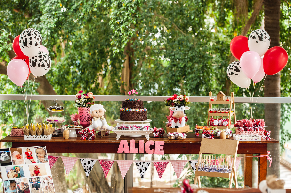 decoração fazendinha