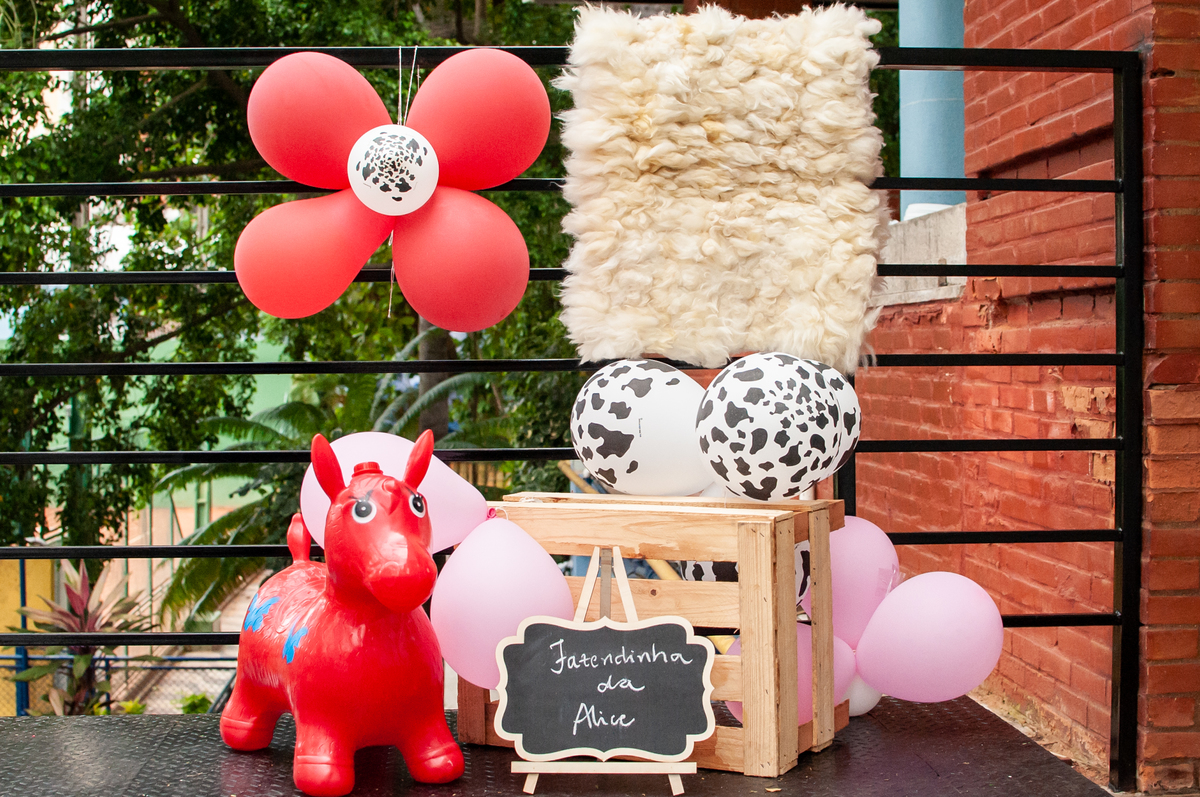 decoração fazendinha