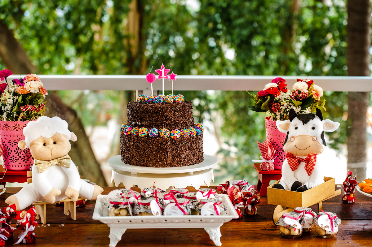 decoração fazendinha