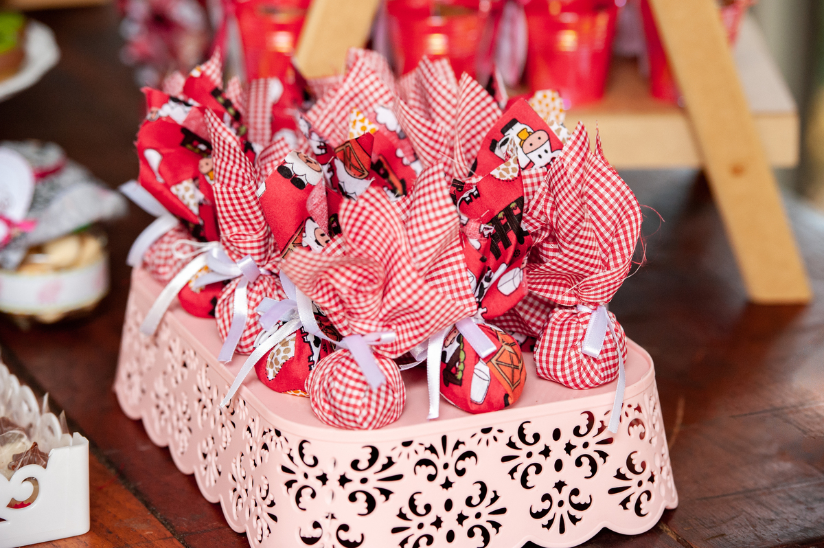 decoração fazendinha