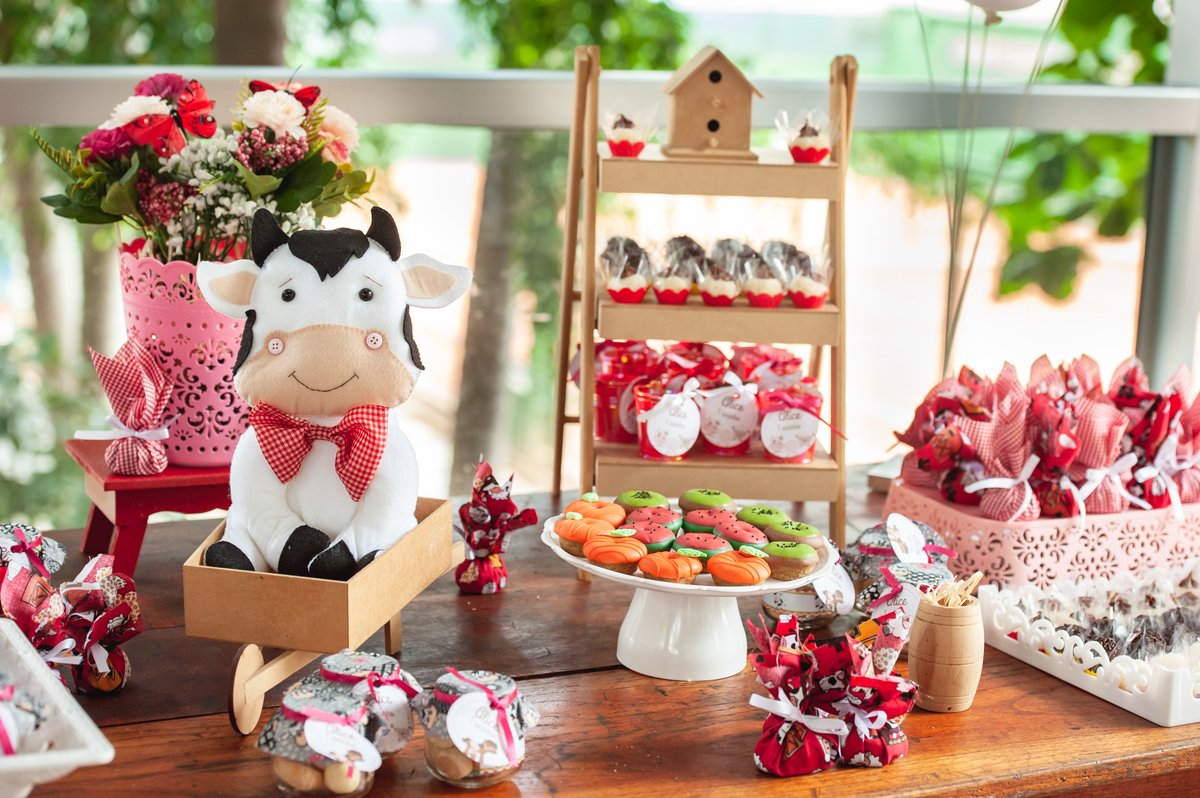 decoração fazendinha