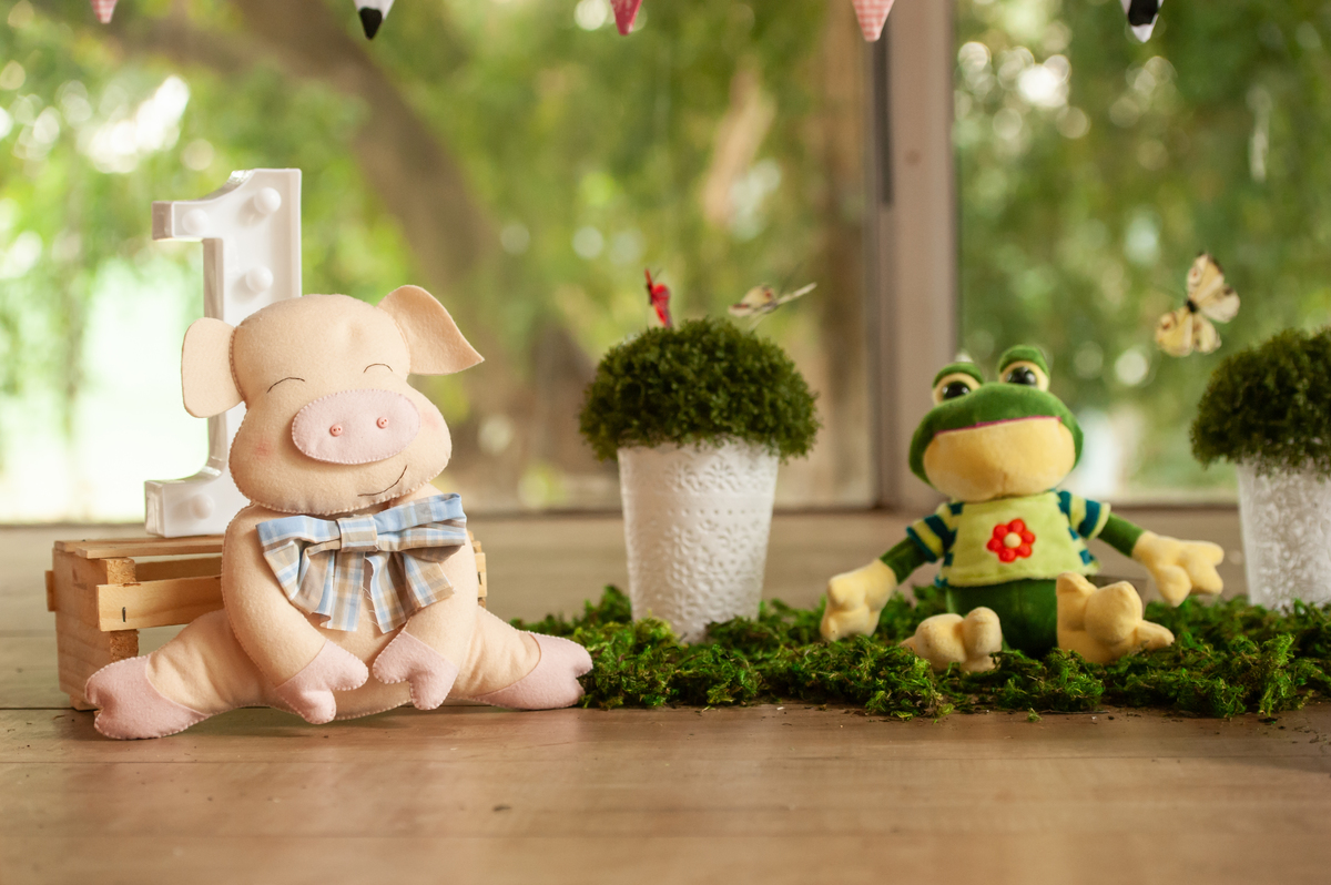 decoração fazendinha