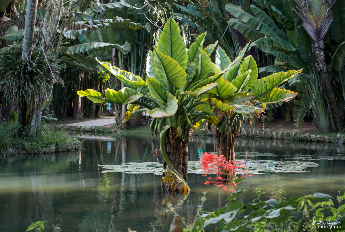 Largo Frei Leandro - Jardim Botânico/RJ