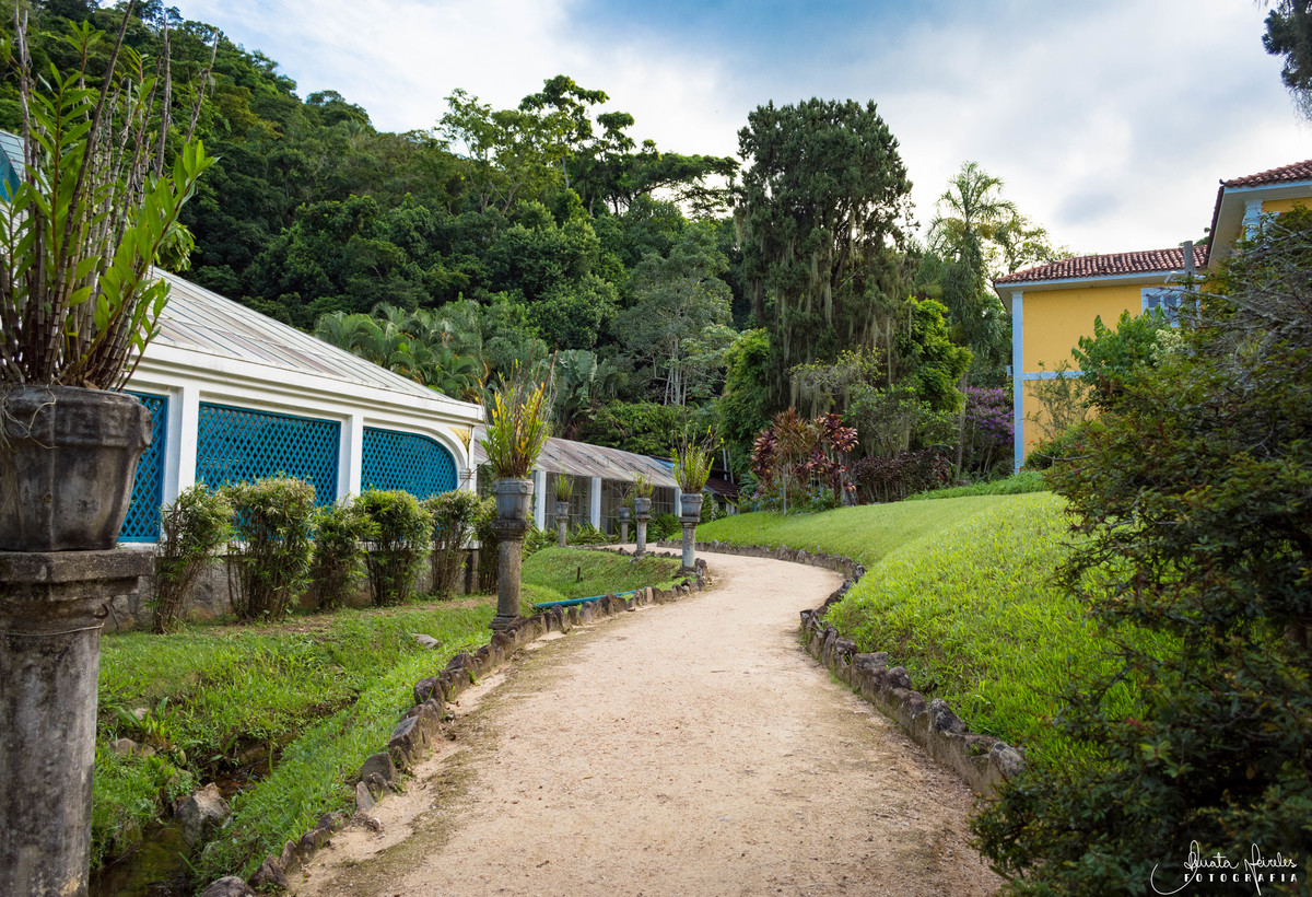 Orquidário - Jardim Botânico/RJ