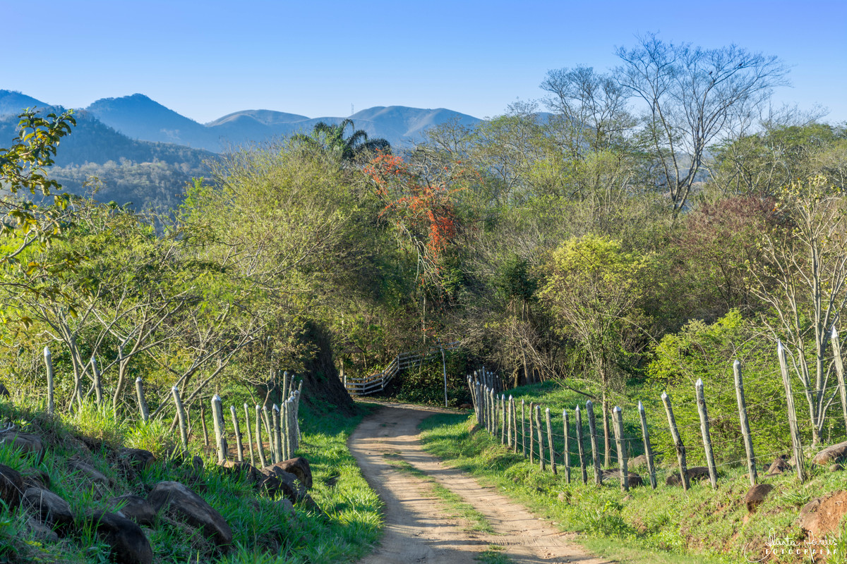 Cacaria - Rio de Janeiro/RJ