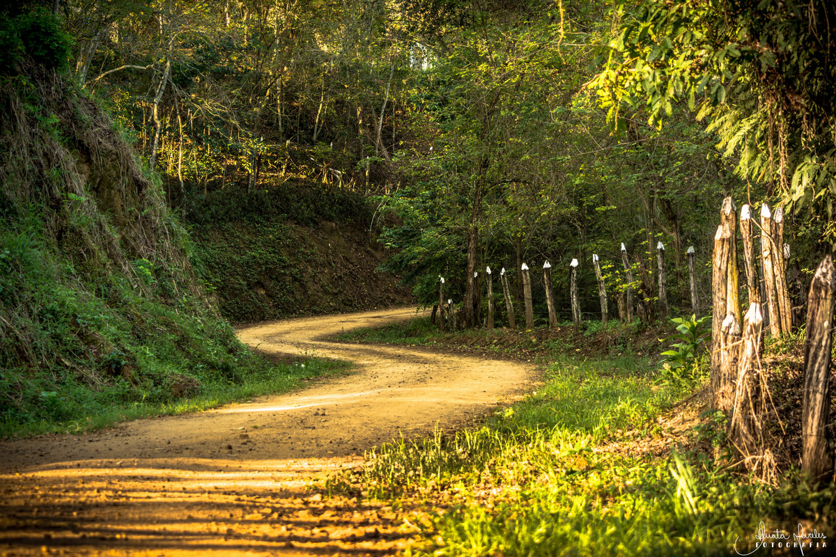 Cacaria - Rio de Janeiro/RJ