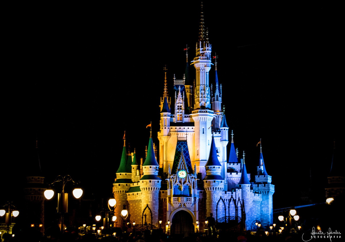Magic Kingdom - Orlando/FL