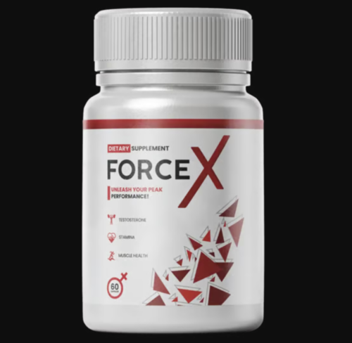 Logotipo de Force X™ NL BE FI