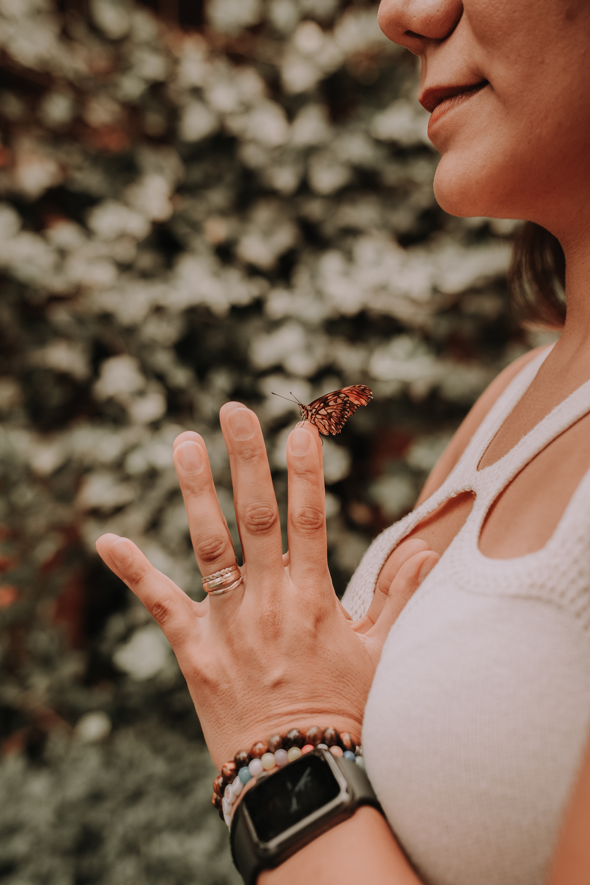 Mãos em prece e uma borboleta no dedo indicador 