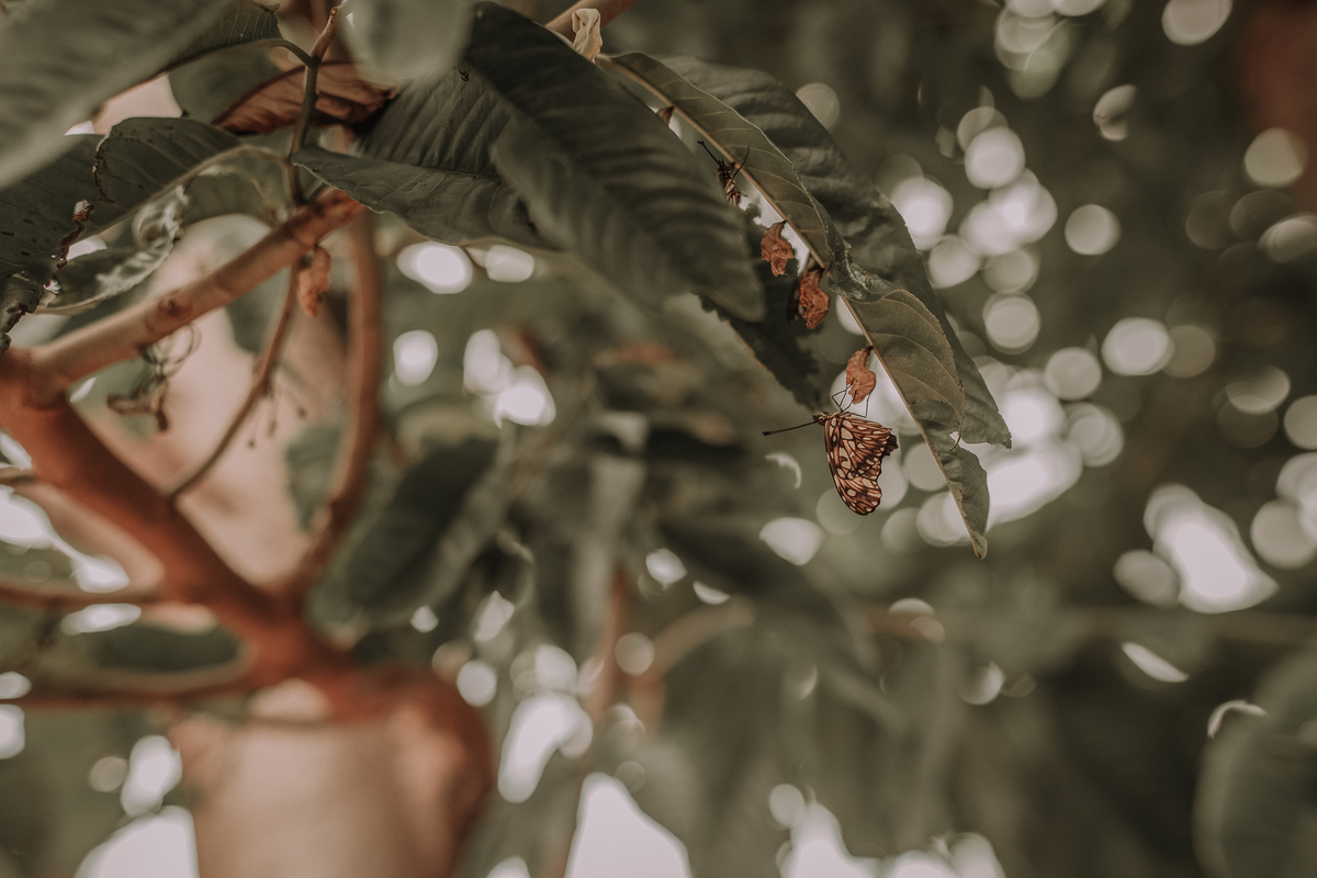 Fotografia de yoga feminina que celebra a conexão entre mente, corpo e espírito