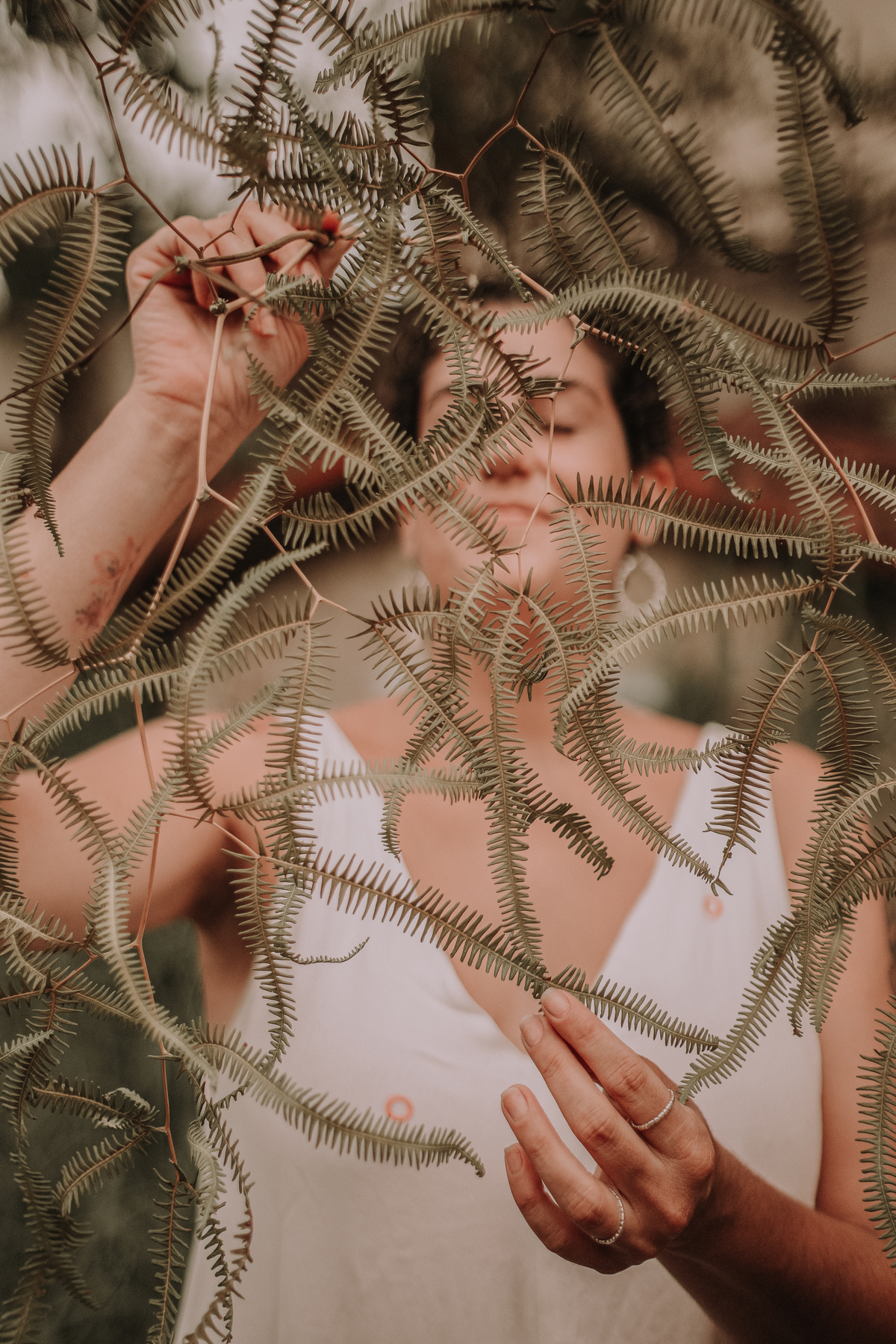 Fotografias de alta qualidade