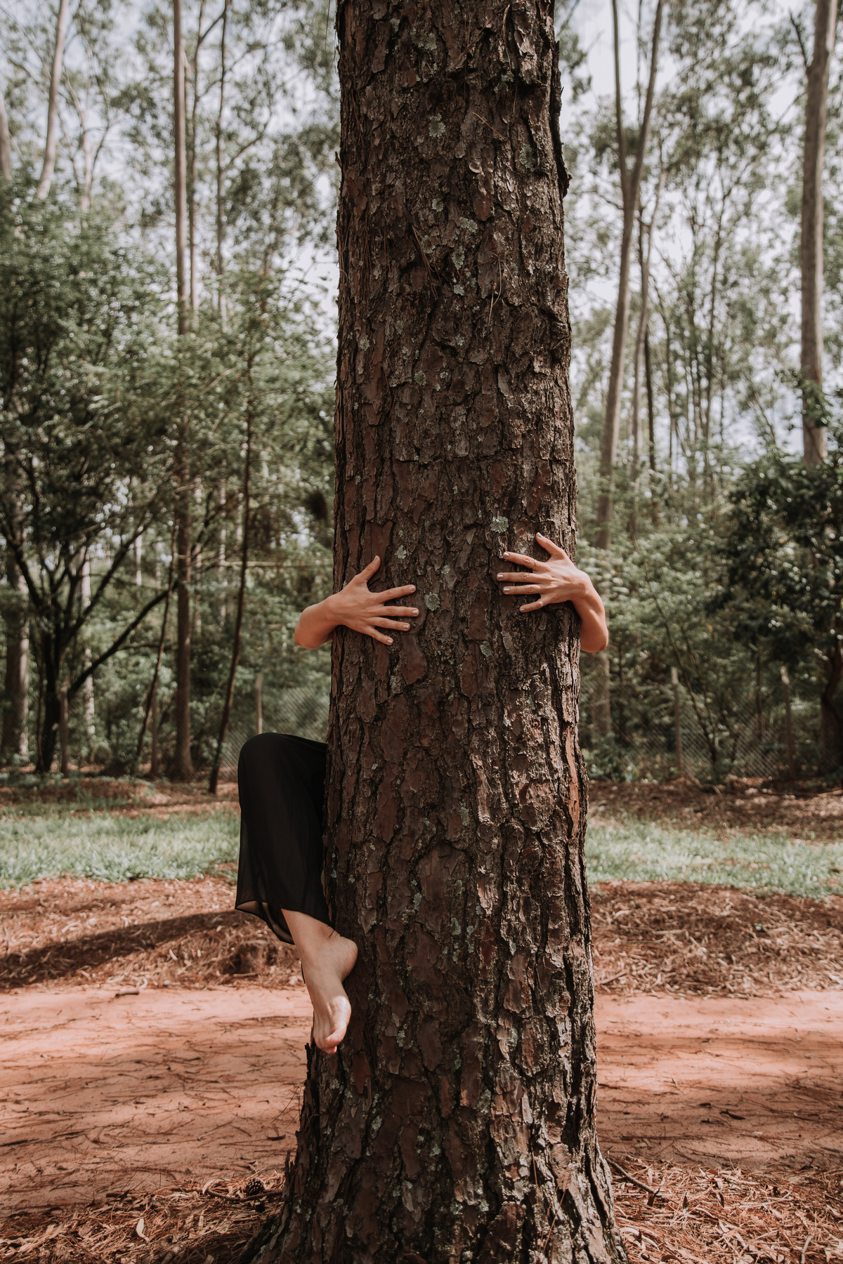 Fotografia de retratos de mulheres