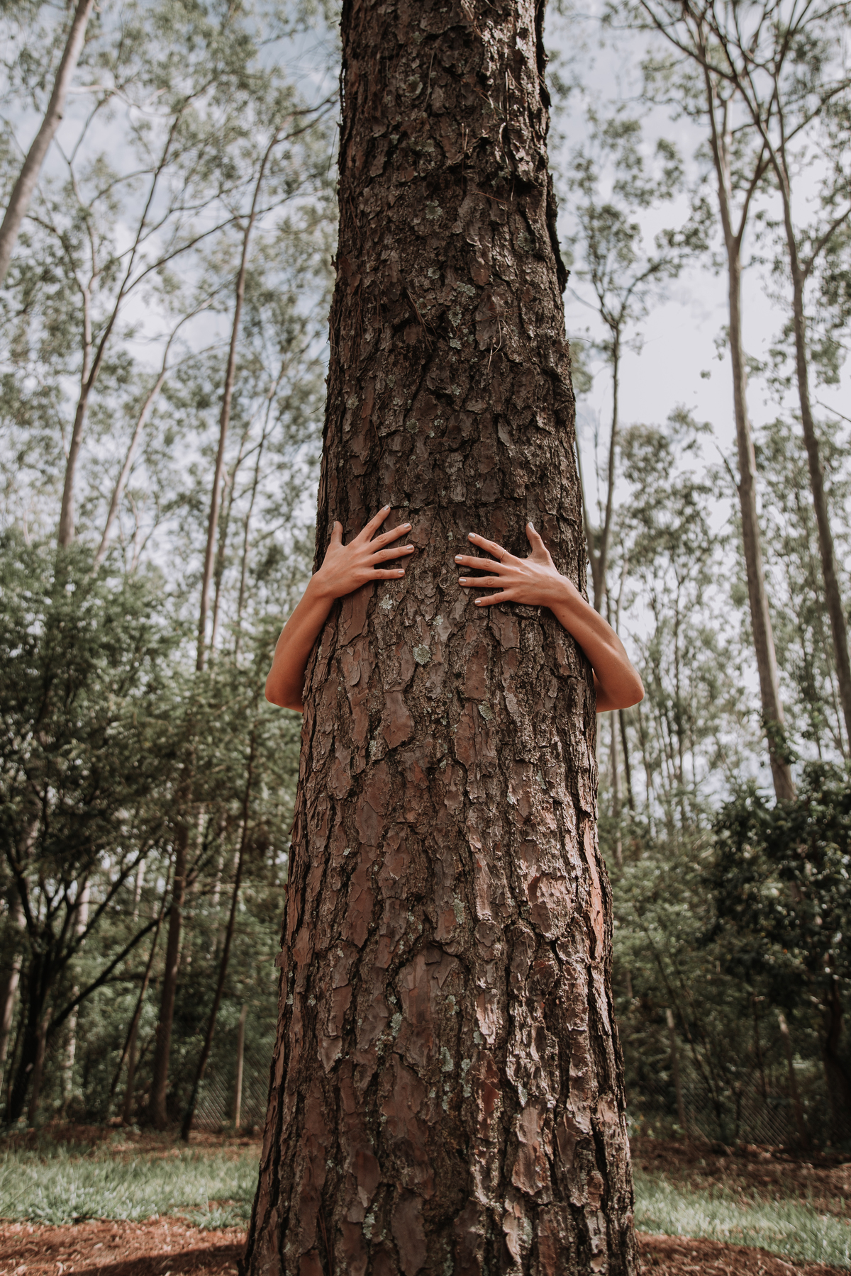 Ensaio fotográfico feminino