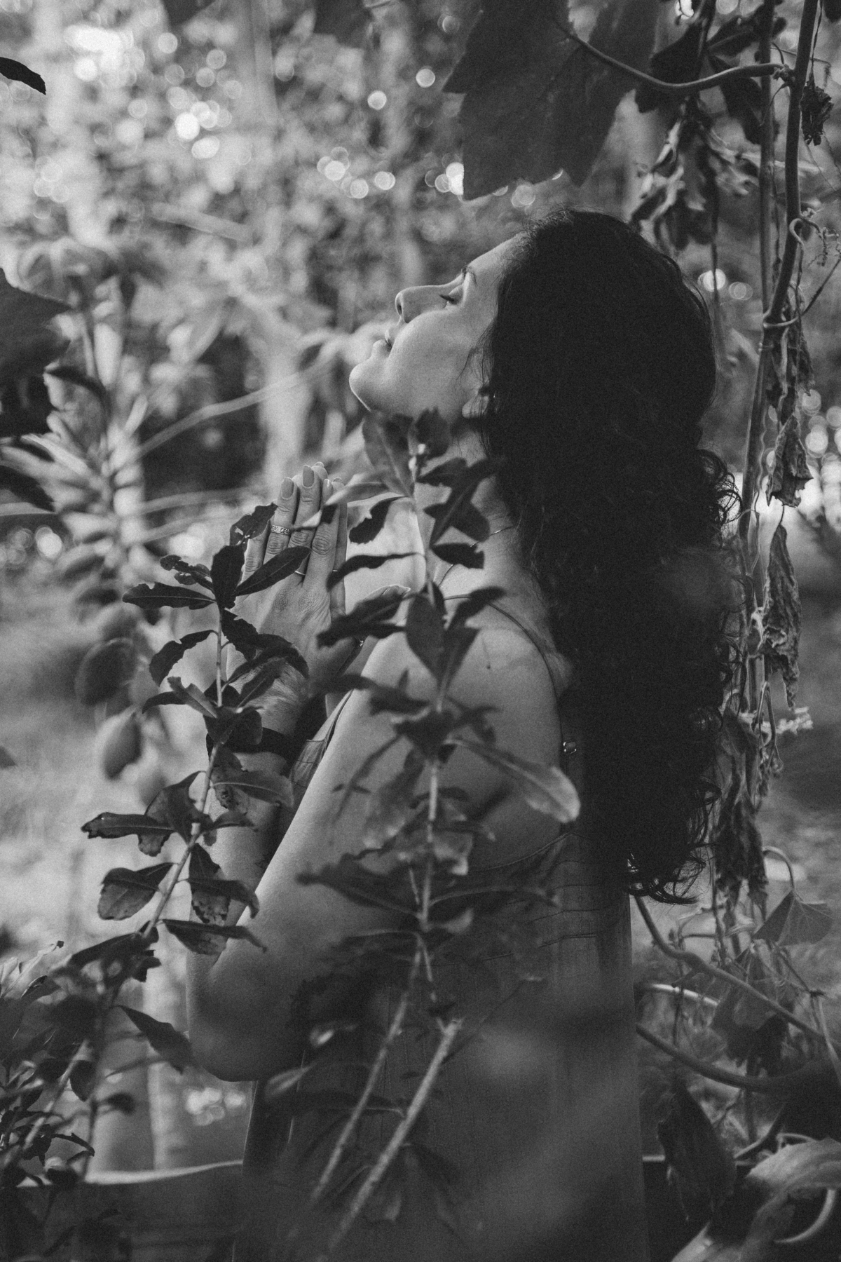 Retratos femininos na paisagem natural de Jaú