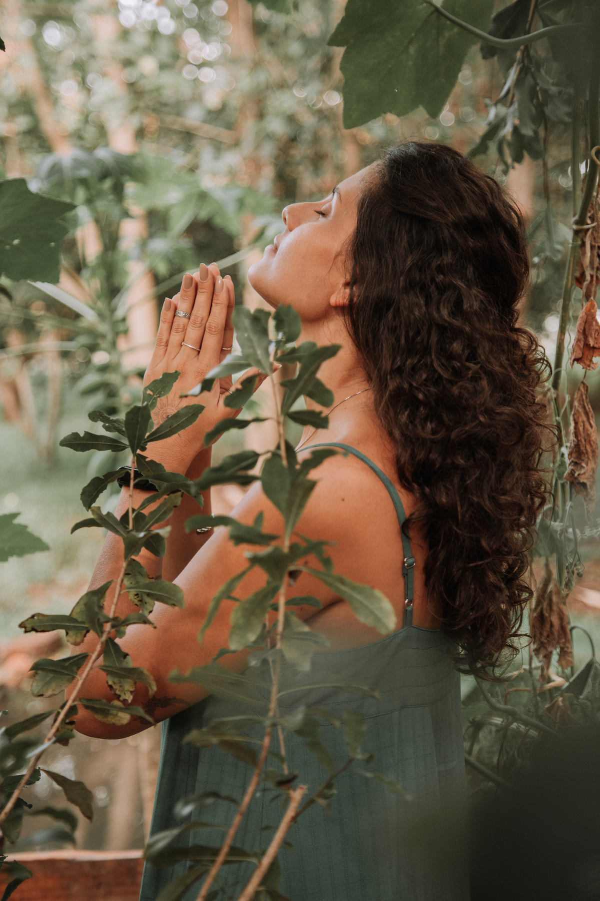 Fotografias de transcendência na natureza
