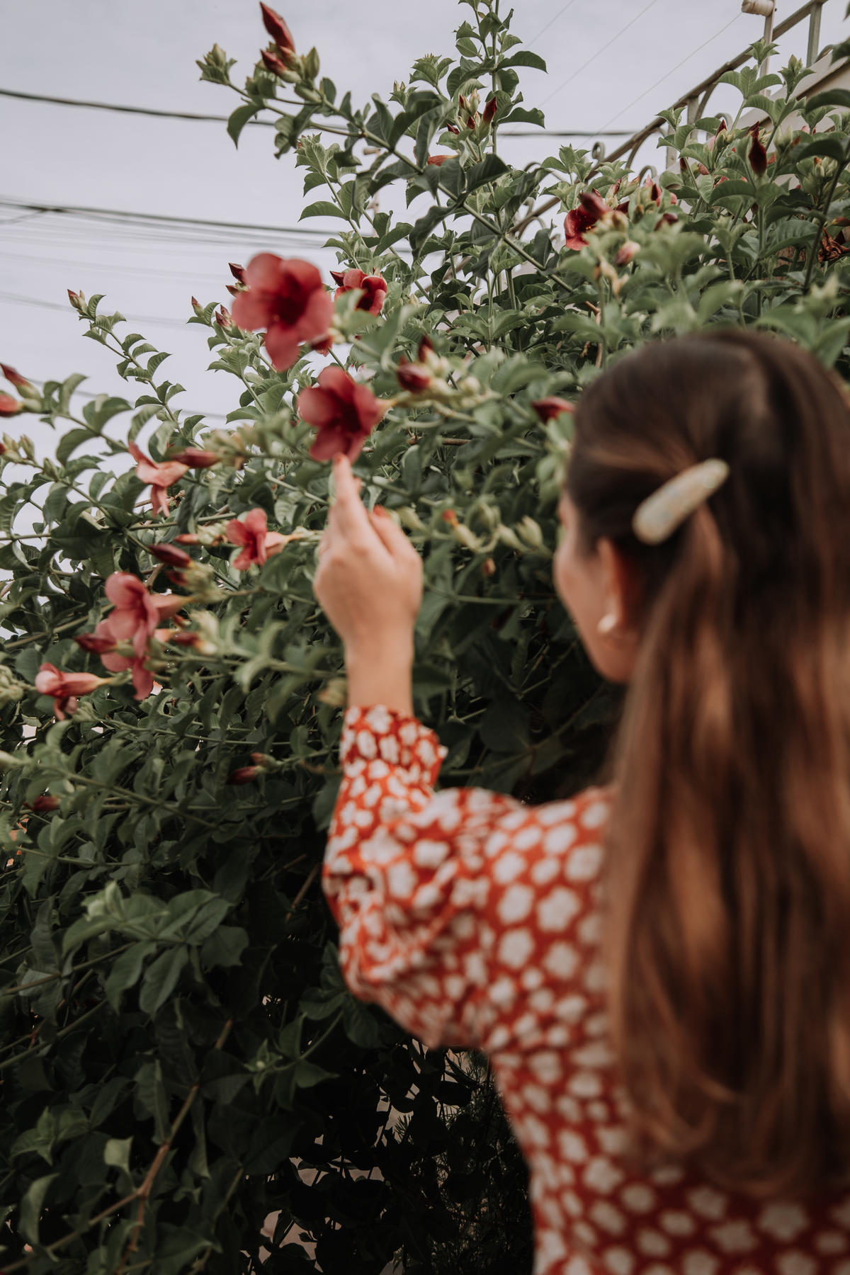 Sessão fotográficas para o Arquétipo da Inocente 