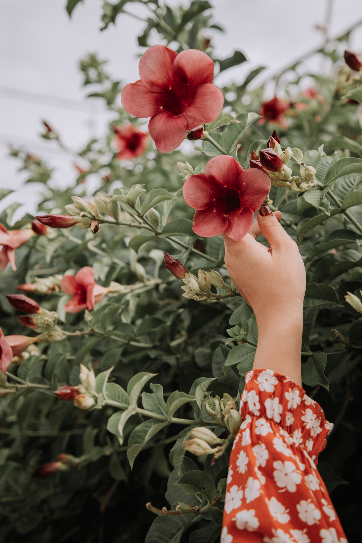 Fotografia Poética Feminina em Jaú SP