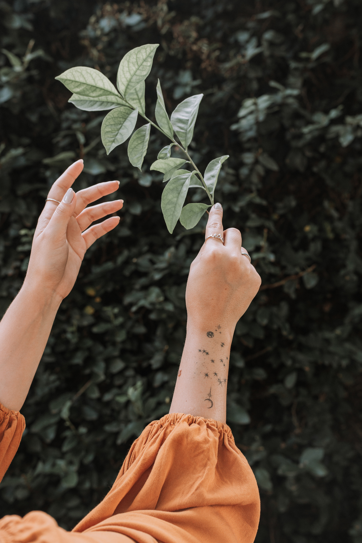Fotografias que transmitem a leveza e a simplicidade feminina na natureza