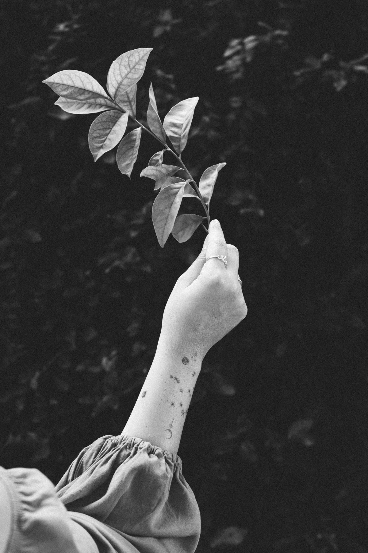 Fotografias que retratam a liberdade e a alegria das mulheres explorando a natureza