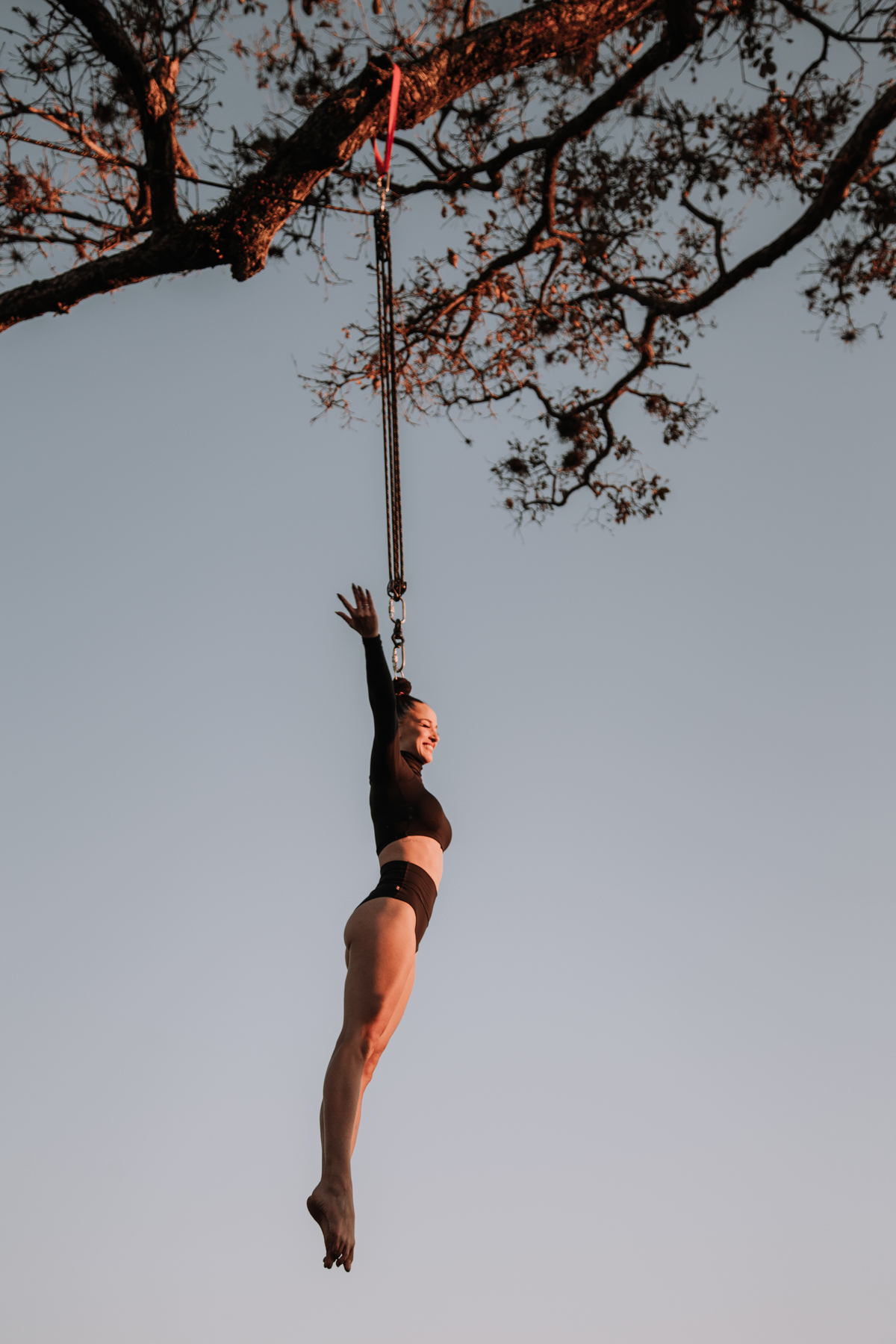 Artista de circo no alto de uma árvore