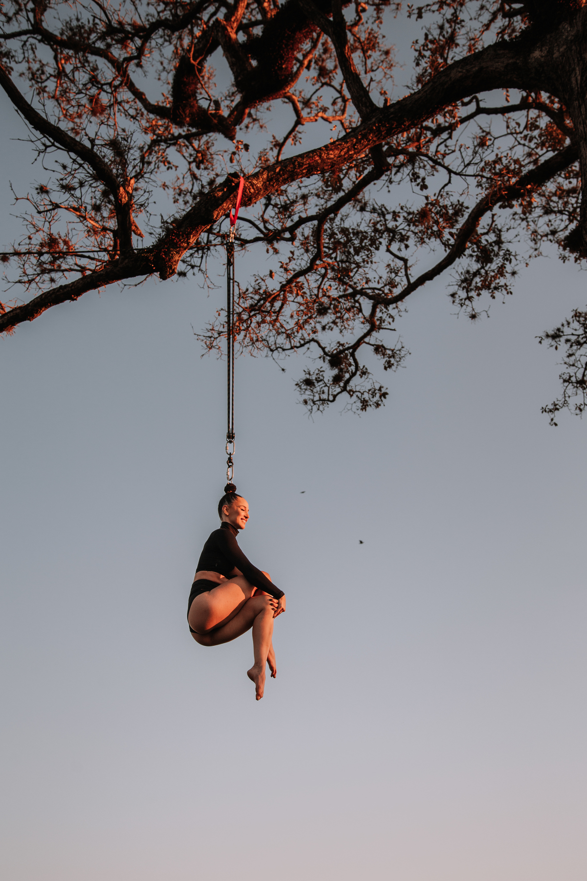 Fotos de circo em ambientes naturais