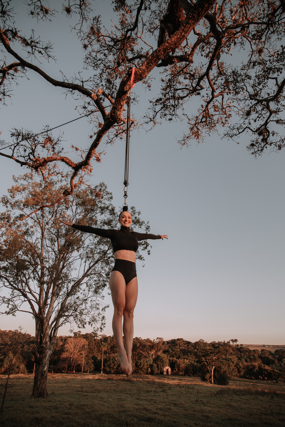Acrobacias aéreas na natureza