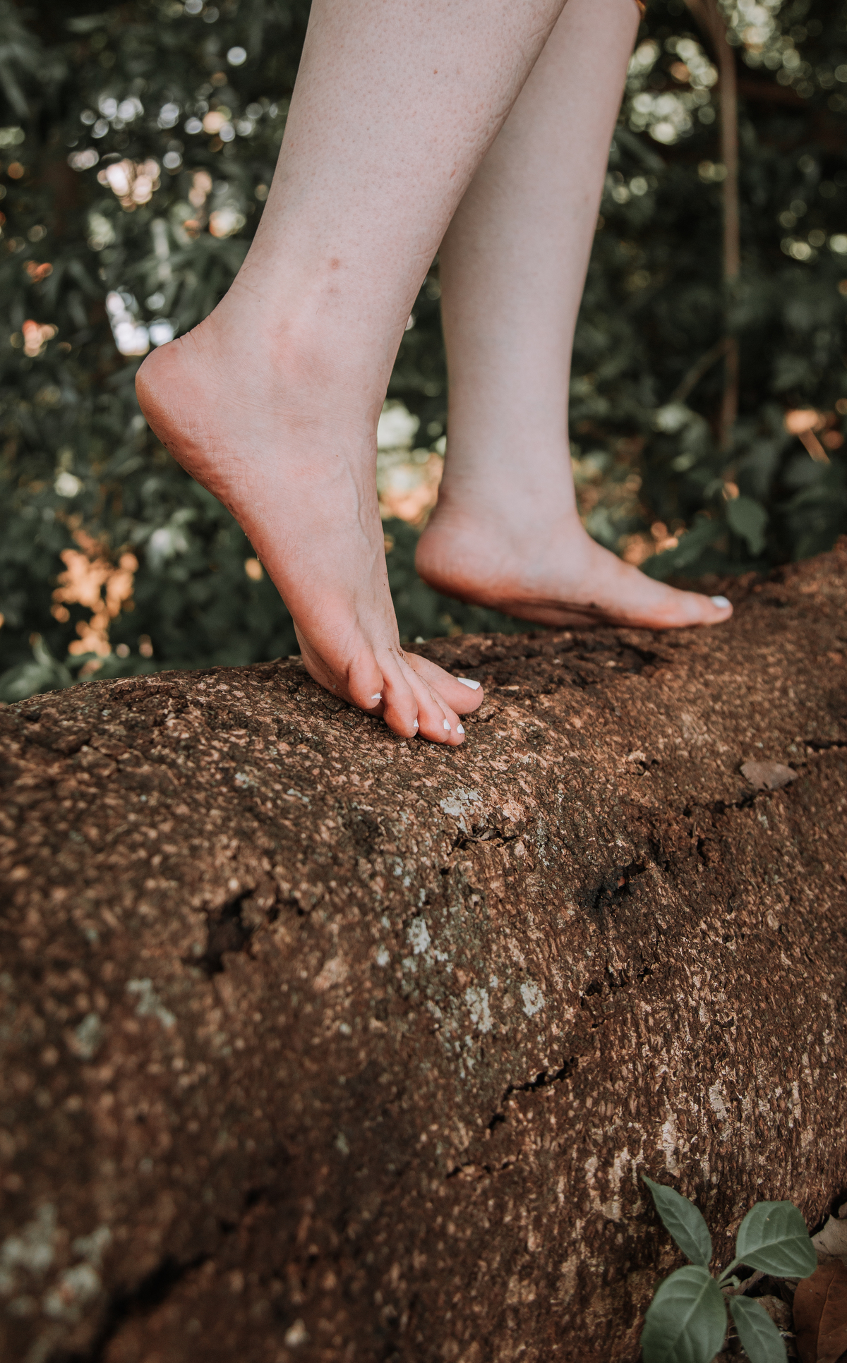 Fotografia dos Pés em cima de um tronco de árvore