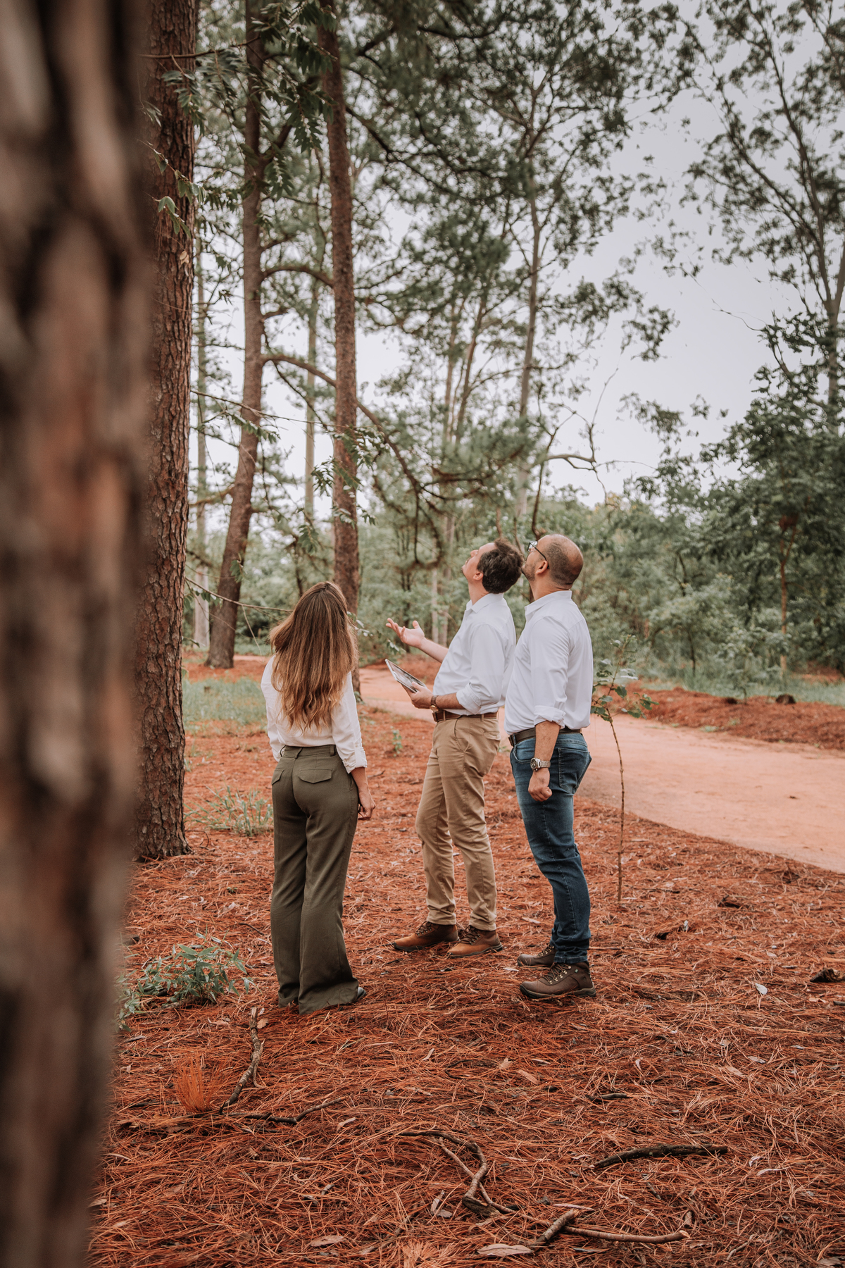 Fotografia de equipe corporativa na natureza