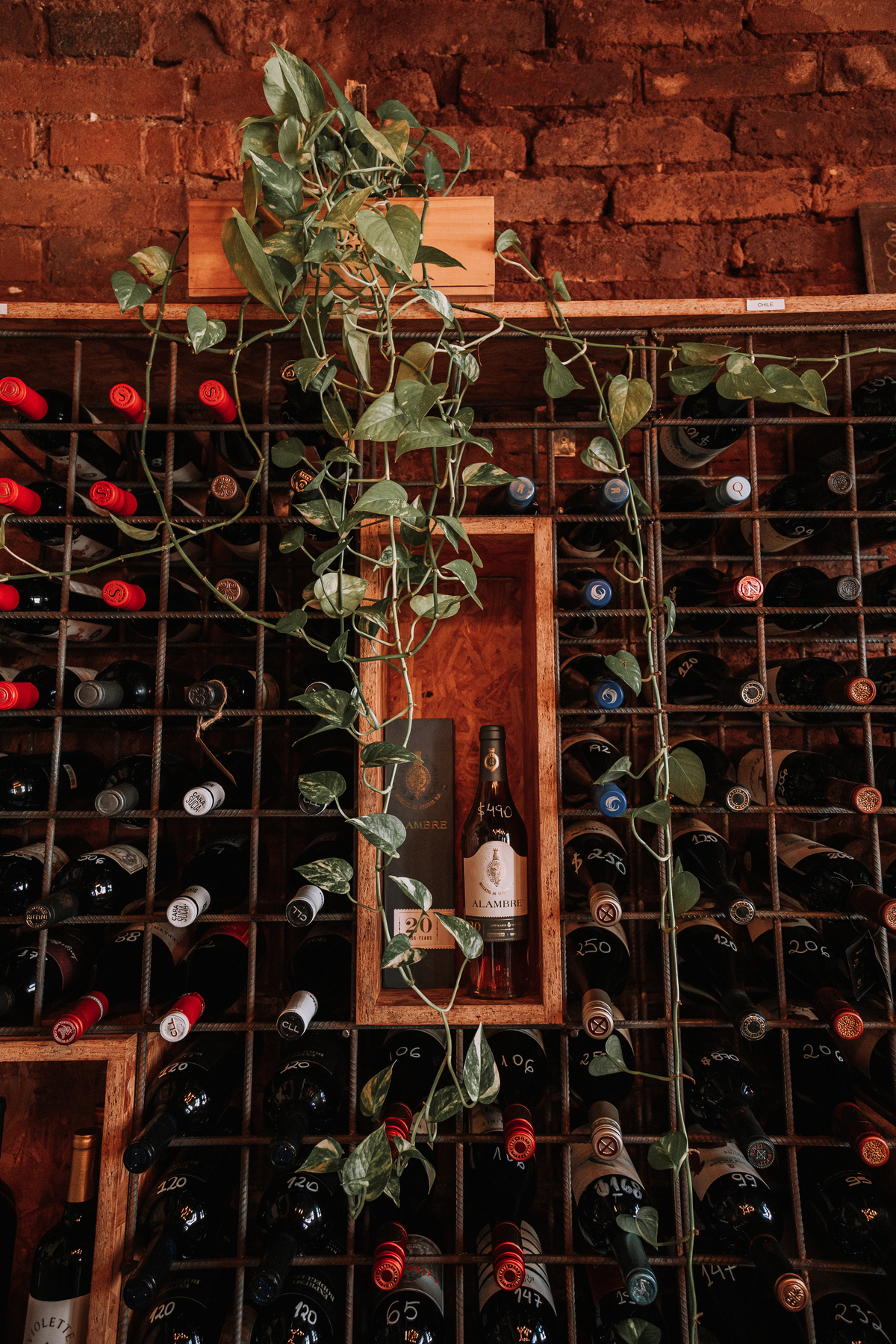 Fotografia de adega de vinhos