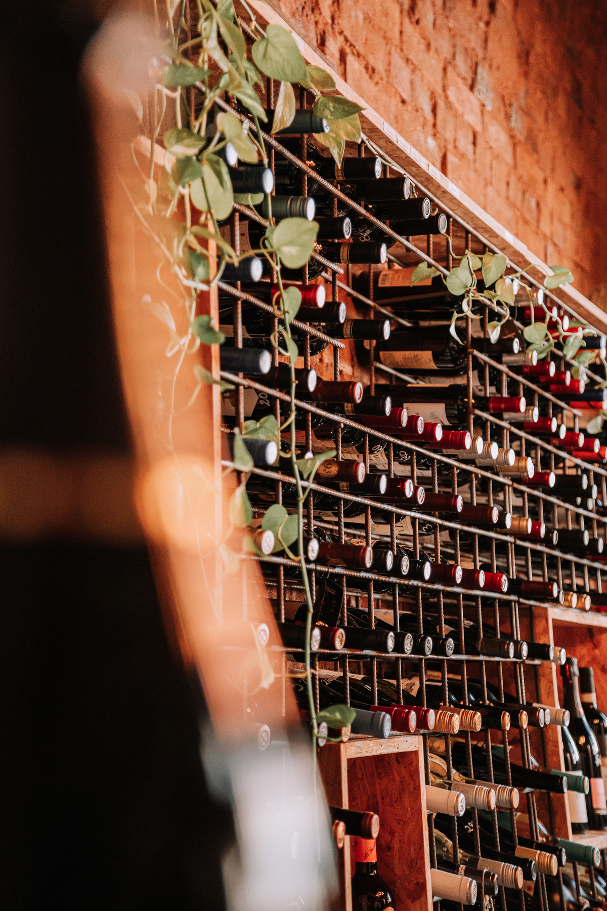 Fotografia em Vinhedos