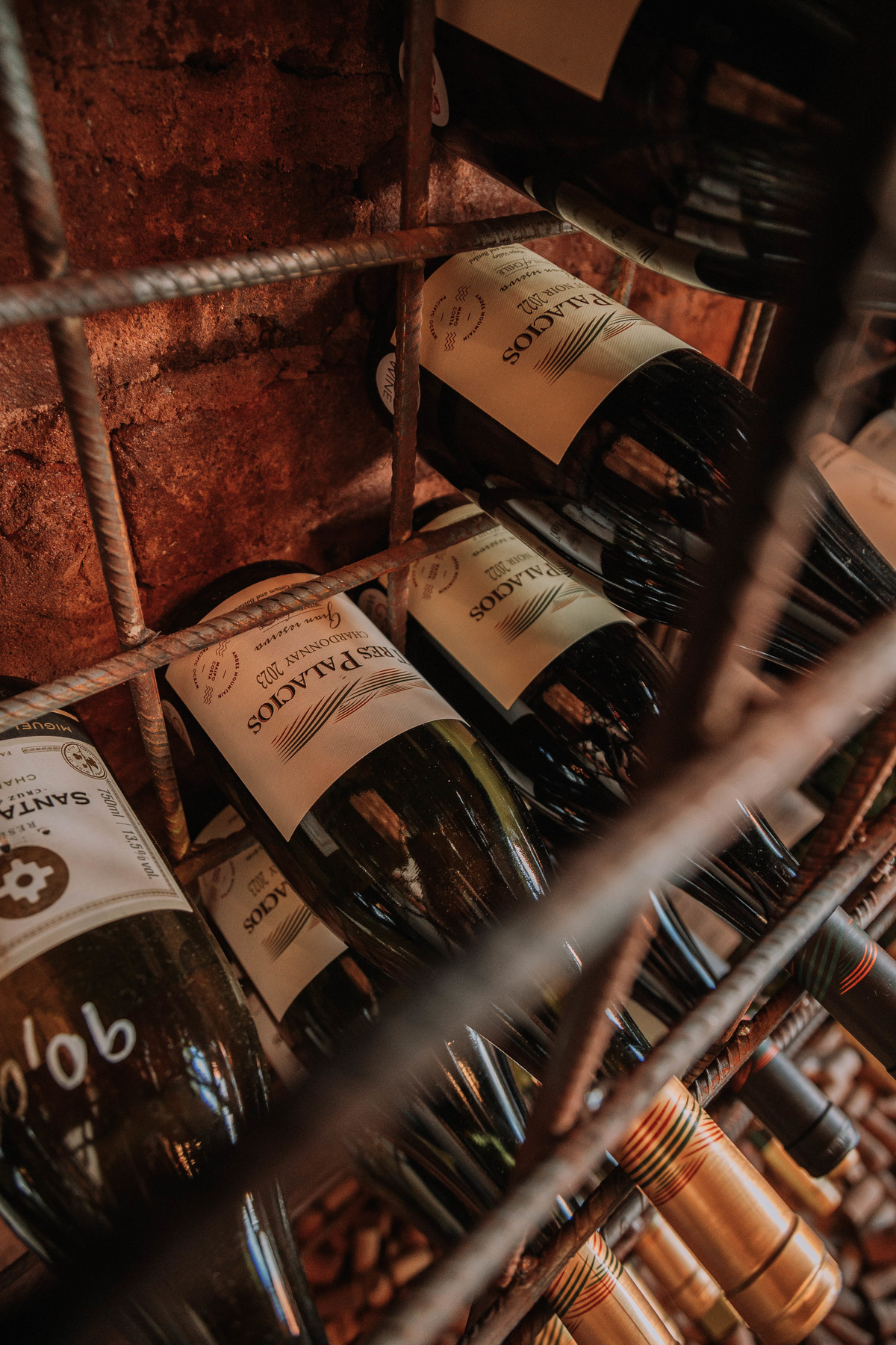 Marketing visual para vinhos e marcas gastronômicas: veja como um ensaio bem-feito pode elevar a identidade da sua marca.