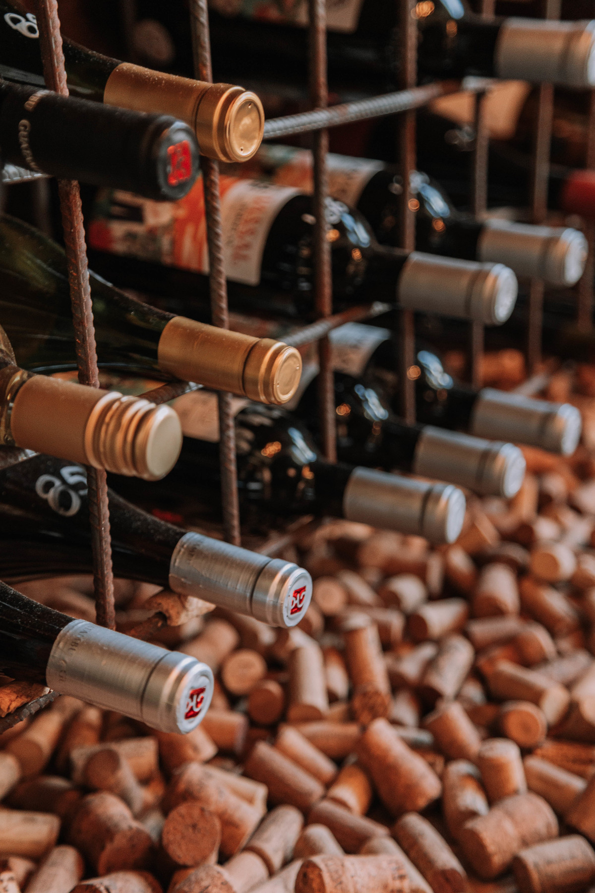 Fotografia Publicitária para Vinhos: Um Ensaio Criativo na Go Wine