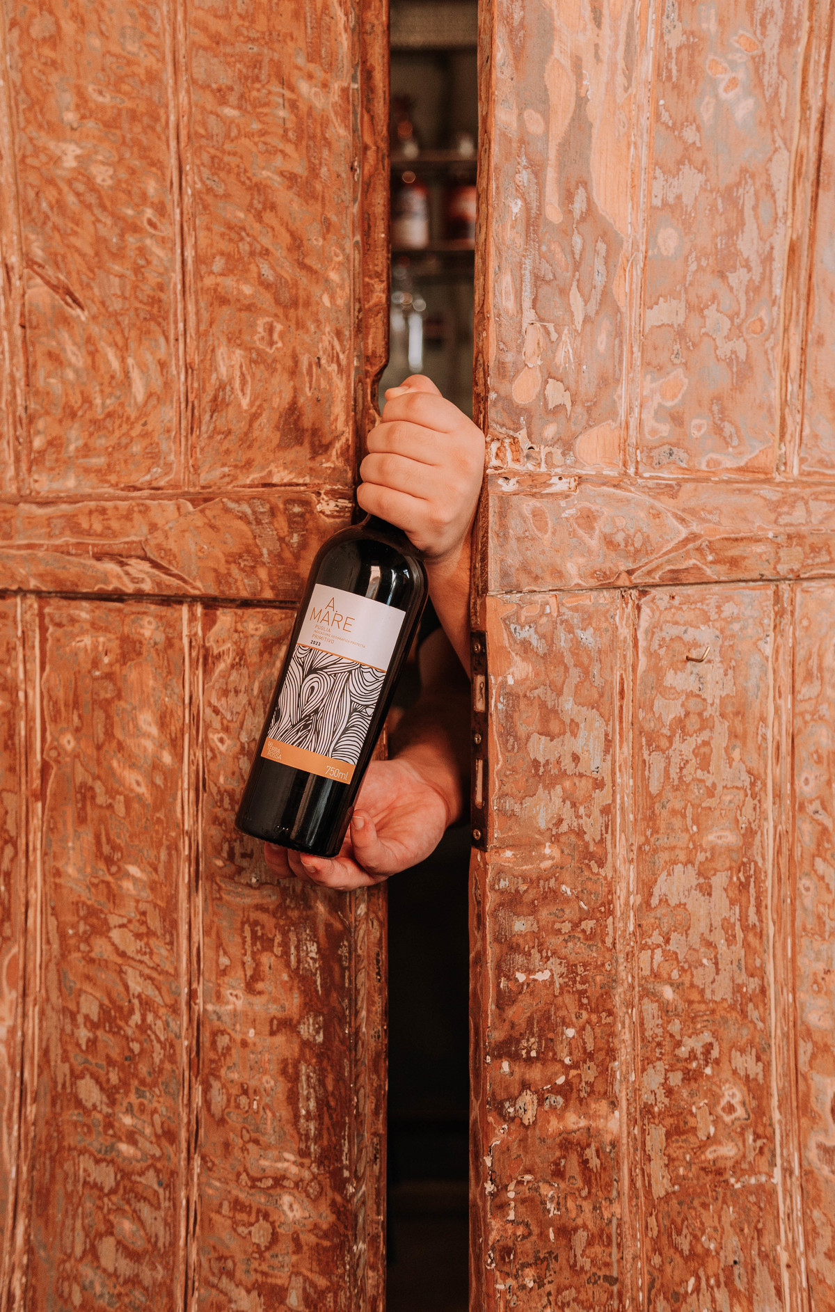 Fotografia de Vinhos: Detalhes, Luz e Sensações na Go Wine