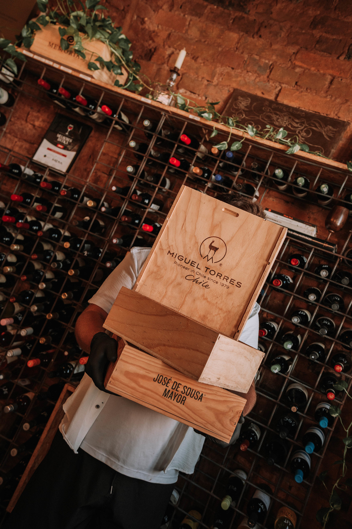 Fotografia criativa para vinhos na Go Wine: ângulos inusitados, reflexos encantadores e imagens que contam histórias. 