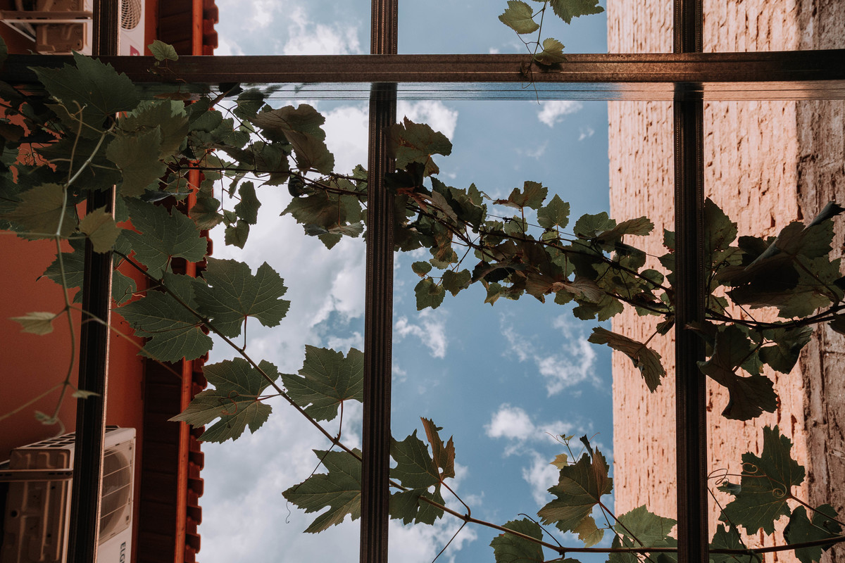 Cena conceitual de vinho sendo servido, ressaltando o movimento e a experiência sensorial.