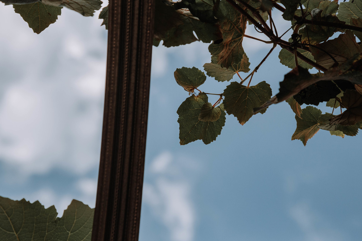 Fotografia de Vinhos e Gastronomia: Criatividade, Luz e Perspectivas