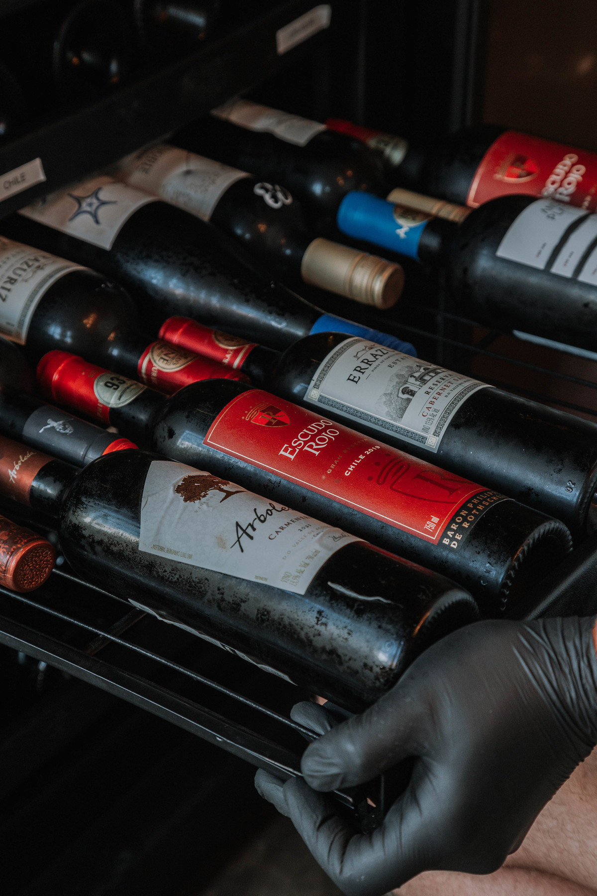 Ensaio fotográfico com composição de vinhos e luz natural, criando uma atmosfera envolvente.