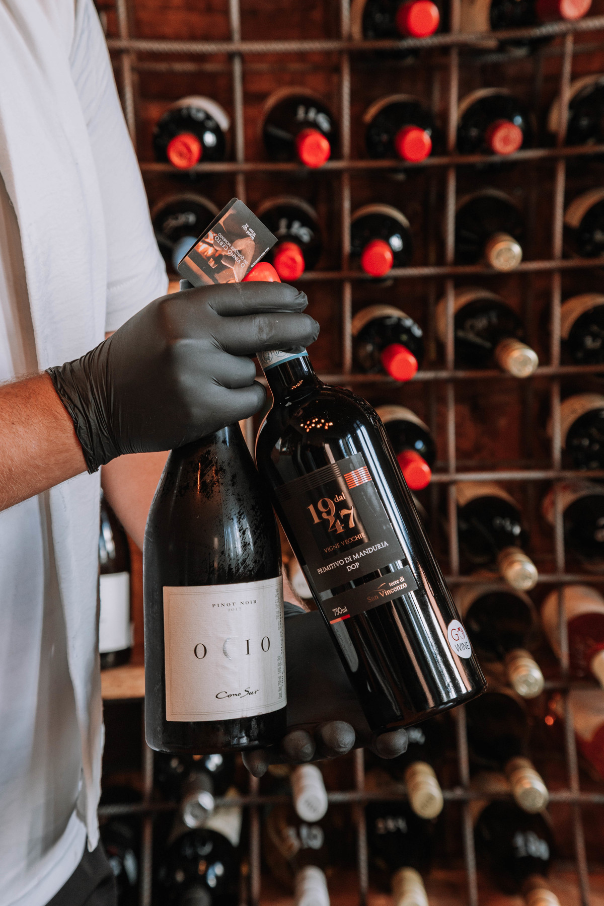 Descubra como a fotografia publicitária transforma vinhos em experiências visuais. Ensaio criativo na Go Wine com luz e perspectiva únicas