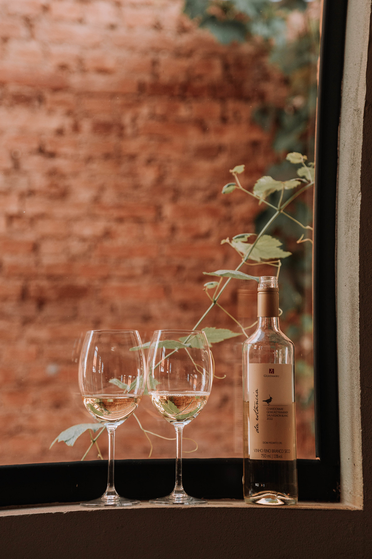 Descubra como a fotografia publicitária transforma vinhos em experiências visuais inesquecíveis