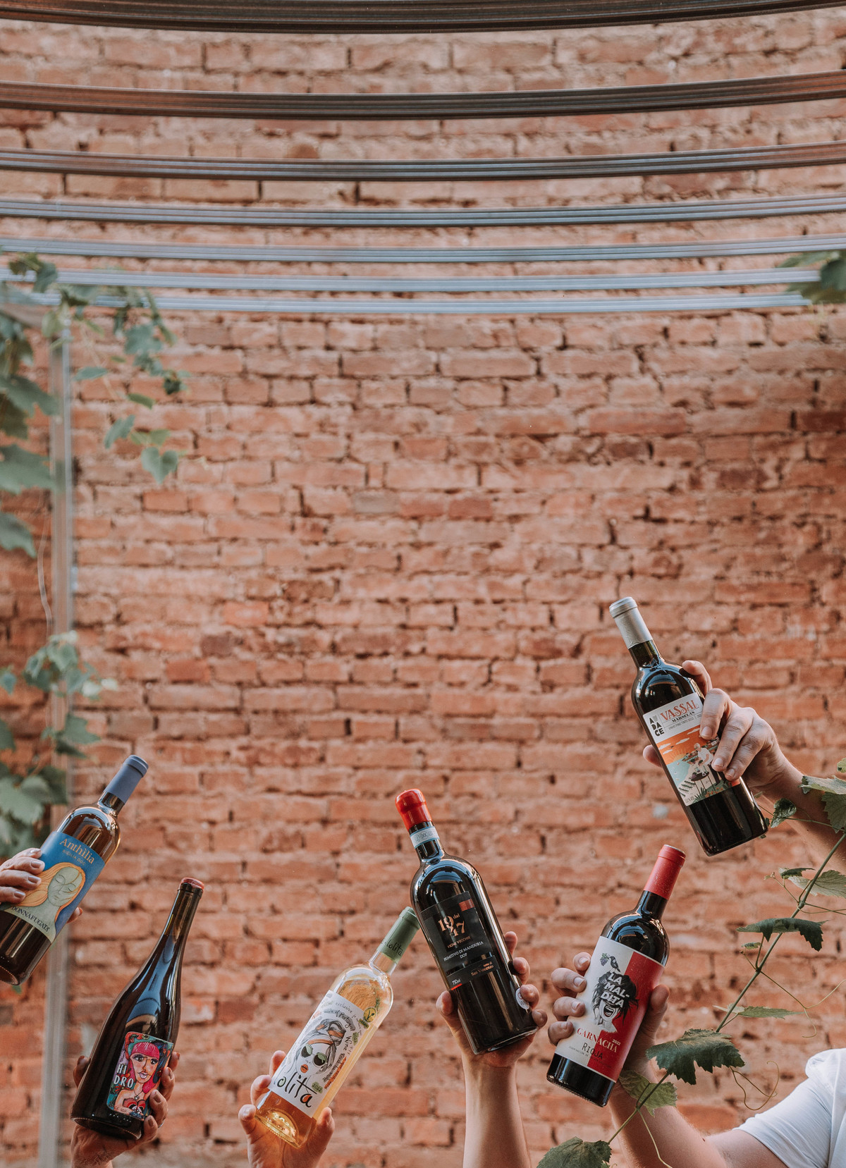 Luz, Reflexos e Texturas: O Poder da Fotografia na Experiência do Vinho