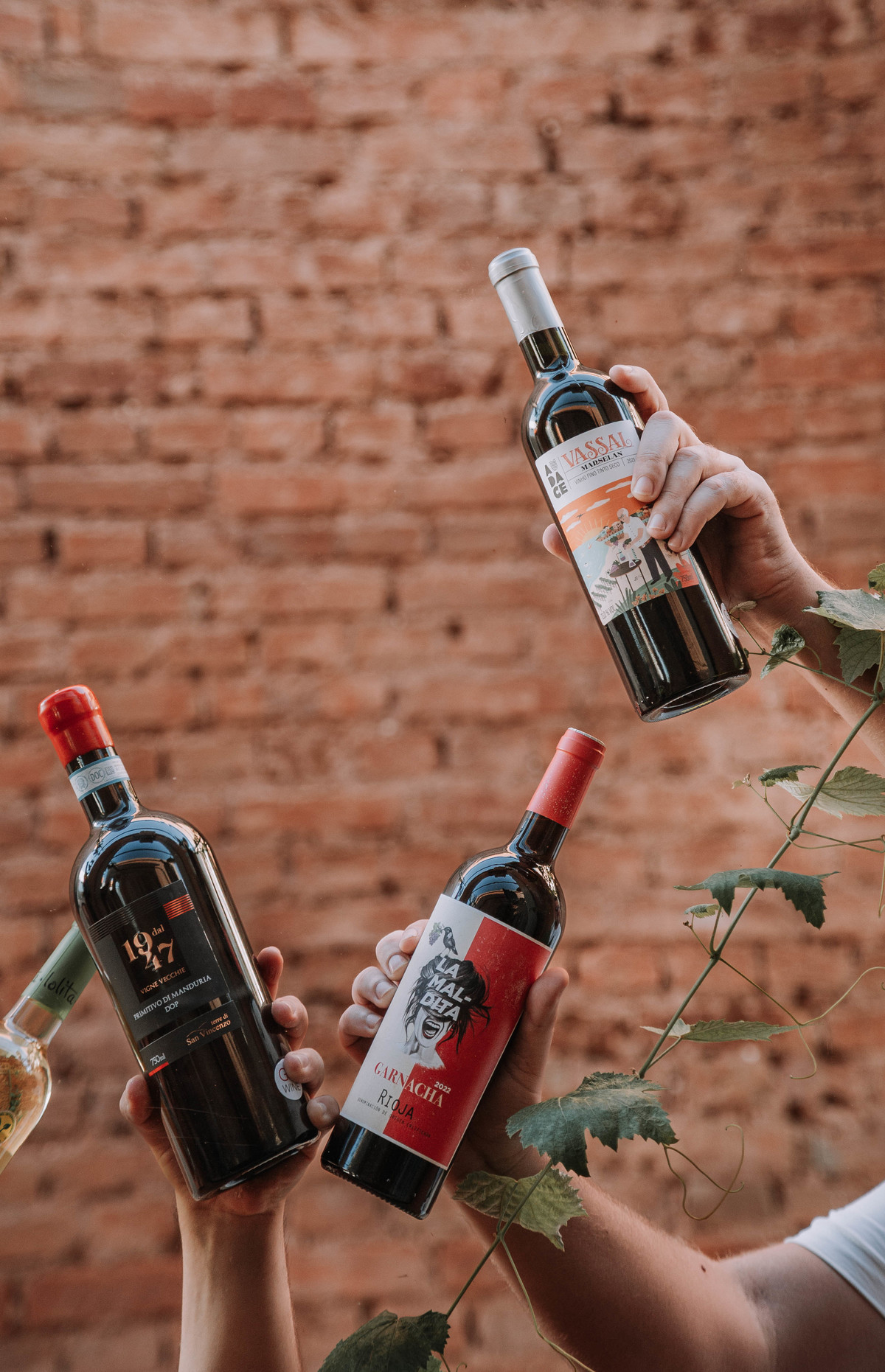 Criatividade e Identidade Visual